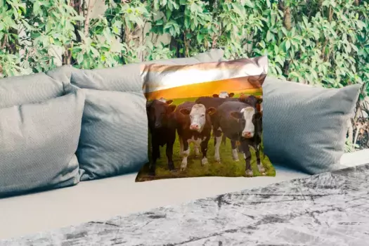 Подушка для сиденья MuchoWow, цвет Bunt