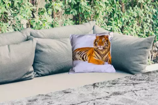 Подушка для сиденья MuchoWow, цвет Bunt