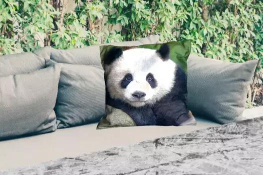 Подушка для сиденья MuchoWow, цвет Bunt