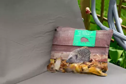 Подушка для сиденья MuchoWow, цвет Bunt