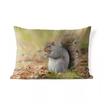 Подушка для улицы MuchoWow — Белка с арахисом — 50x30 см — Устойчивость к атмосферным воздействиям — Подушка для отдыха — Чехол на подушку — Хлопчатобумажная ткань — Декоративные чехлы на подушки, мультиколор