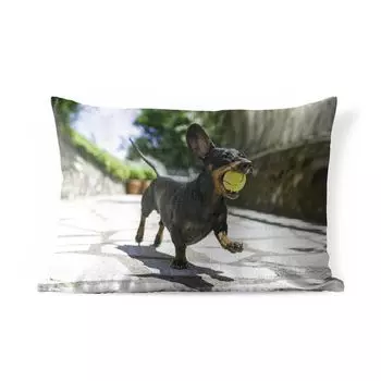 Подушка для улицы MuchoWow — Черная такса с теннисным мячом — 50x30 см — Защита от атмосферных воздействий — Подушка для отдыха — Чехол на подушку — Хлопчатобумажная ткань — Декоративные наволочки, мультиколор