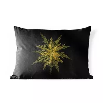Подушка для улицы MuchoWow — Цветок золотарника на черном фоне — 50x30 см — Устойчивость к атмосферным воздействиям — Подушка для отдыха — Чехол на подушку — Хлопчатобумажная ткань — Декоративные наволочки, мультиколор