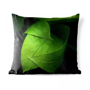 Подушка для улицы MuchoWow - Детали зеленого листа на черном фоне - 45x45 см - Устойчивость к атмосферным воздействиям - Подушки для отдыха - Чехлы для подушек - Декоративные чехлы для подушек - Декоративные чехлы для подушек, мультиколор