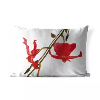 Подушка для улицы MuchoWow - Две красные орхидеи на белом фоне - 60x40 см - Устойчивость к атмосферным воздействиям - Подушки для отдыха - Чехлы для подушек - Декоративные чехлы для подушек - Декоративные чехлы для подушек, мультиколор