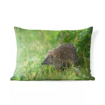 Подушка для улицы MuchoWow - ежик, стоящий в траве - 50x30 см - защита от атмосферных воздействий - подушка для отдыха - чехол на подушку - хлопчатобумажная ткань - декоративные чехлы на подушки, мультиколор