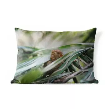 Подушка для улицы MuchoWow — Филиппинское духовное животное среди листьев — 60x40 см — Устойчивость к атмосферным воздействиям — Подушки для отдыха — Чехлы для подушек — Декоративные чехлы для подушек — Декоративные чехлы для подушек, мультиколо...