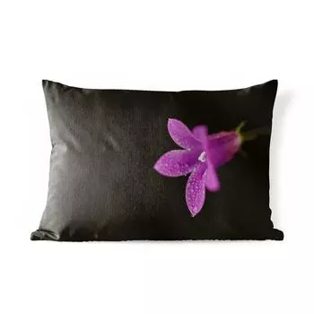 Подушка для улицы MuchoWow — Фиолетовая лилия крупным планом на черном фоне — 50x30 см — Устойчивость к атмосферным воздействиям — Подушка для отдыха — Чехол на подушку — Хлопчатобумажная ткань — Декоративные наволочки, мультиколор