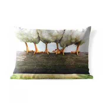 Подушка для улицы MuchoWow - Фотопринт с куриными ножками - 60x40 см - Устойчивость к атмосферным воздействиям - Подушка для отдыха - Чехлы для подушек - Декоративные чехлы для подушек - Декоративные чехлы для подушек, мультиколор