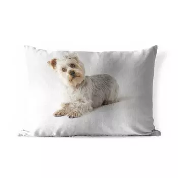 Подушка для улицы MuchoWow - Йоркширский терьер смотрит в камеру - 60x40 см - Устойчивость к атмосферным воздействиям - Подушка для отдыха - Чехлы для подушек - Декоративные чехлы для подушек - Декоративные чехлы для подушек, мультиколор