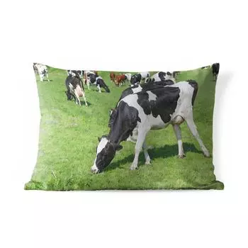 Подушка для улицы MuchoWow - корова - животные - трава - солнце - 50x30 см - устойчивая к атмосферным воздействиям - подушка для отдыха - чехол для подушки - хлопчатобумажная ткань - декоративные чехлы для подушек, мультиколор