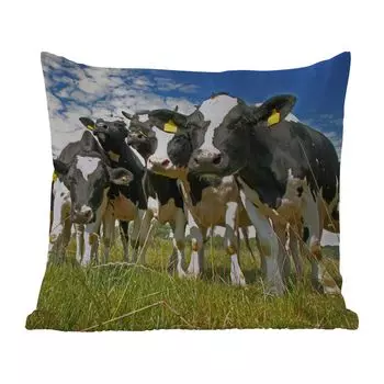 Подушка для улицы MuchoWow - коровы - трава - луг - животные - 40x40 см - защита от атмосферных воздействий - подушка для отдыха - чехол для подушки - хлопчатобумажная ткань - декоративные чехлы для подушек, мультиколор
