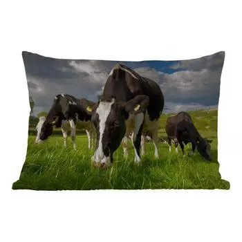 Подушка для улицы MuchoWow - коровы - животные - трава - луг - ферма - 50x30 см - защита от атмосферных воздействий - подушка для отдыха - чехол для подушки - хлопчатобумажная ткань - декоративные чехлы для подушек, мультиколор