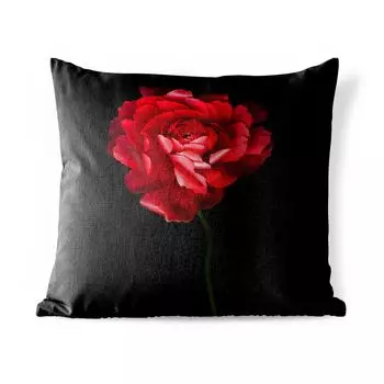 Подушка для улицы MuchoWow — Красный лютик на черном фоне — 60x60 см — Устойчивость к атмосферным воздействиям — Подушки для отдыха — Чехлы для подушек — Декоративные чехлы для подушек — Декоративные чехлы для подушек, мультиколор