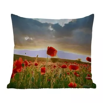 Подушка для улицы MuchoWow - Красочное небо над множеством маков - 45x45 см - Устойчивость к атмосферным воздействиям - Подушка для отдыха - Чехлы для подушек - Декоративные чехлы для подушек - Декоративные чехлы для подушек, мультиколор