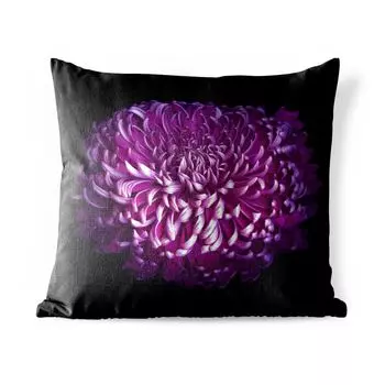 Подушка для улицы MuchoWow — Листья фиолетового цветка на черном фоне — 60x60 см — Устойчивость к атмосферным воздействиям — Подушки для отдыха — Чехлы для подушек — Декоративные чехлы для подушек — Декоративные чехлы для подушек, мультиколор