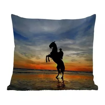 Подушка для улицы MuchoWow - Лошадь - Небо - Тень - 45x45 см - Устойчивость к атмосферным воздействиям - Подушка для отдыха - Чехлы для подушек - Декоративные чехлы для подушек - Декоративные чехлы для подушек, мультиколор