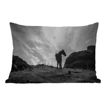 Подушка для улицы MuchoWow - лошадь - облака - луг - 50x30 см - защита от атмосферных воздействий - подушка для отдыха - чехол для подушки - хлопчатобумажная ткань - декоративные чехлы для подушек, мультиколор
