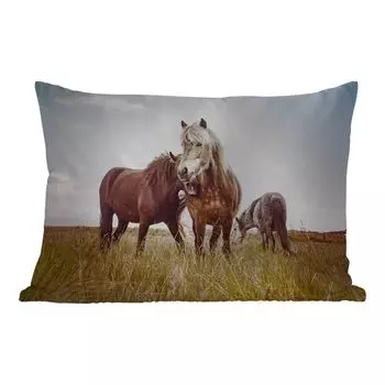 Подушка для улицы MuchoWow - Лошади - Трава - Весна - 60x40 см - Устойчивость к атмосферным воздействиям - Подушки для отдыха - Чехлы для подушек - Декоративные чехлы для подушек - Декоративные чехлы для подушек, мультиколор