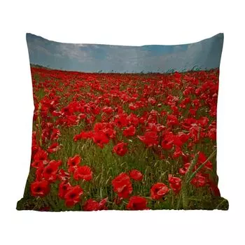 Подушка для улицы MuchoWow - Луг, полный маков - 45x45 см - Устойчивость к атмосферным воздействиям - Подушки для отдыха - Чехлы для подушек - Декоративные чехлы для подушек - Декоративные чехлы для подушек, мультиколор