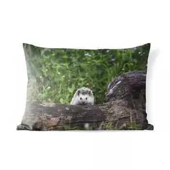 Подушка для улицы MuchoWow - Маленький ежик на пне - 60x40 см - Устойчивость к атмосферным воздействиям - Подушка для отдыха - Чехлы для подушек - Декоративные чехлы для подушек - Декоративные чехлы для подушек, мультиколор