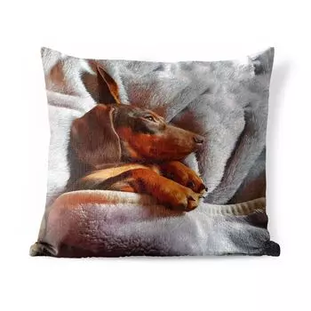 Подушка для улицы MuchoWow - Милая такса лежит под пуховым одеялом - 45x45 см - Устойчивость к атмосферным воздействиям - Подушки для отдыха - Чехлы для подушек - Декоративные чехлы для подушек - Декоративные чехлы для подушек, мультиколор