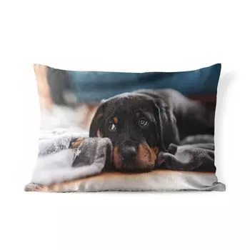 Подушка для улицы MuchoWow — Милый щенок ротвейлера лежит на полу — 60x40 см — Устойчивость к атмосферным воздействиям — Подушка для отдыха — Чехлы для подушек — Декоративные чехлы для подушек — Декоративные чехлы для подушек, мультиколор