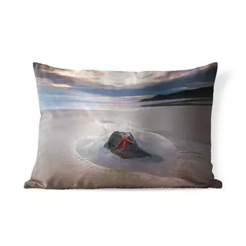 Подушка для улицы MuchoWow - морская звезда - пляж - солнце - 50x30 см - защита от атмосферных воздействий - подушка для отдыха - чехол на подушку - хлопчатобумажная ткань - декоративные чехлы на подушки, мультиколор