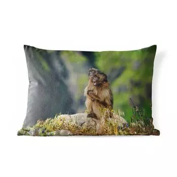 Подушка для улицы MuchoWow - обезьяны - растения - камни - семья - 50x30 см - защита от атмосферных воздействий - подушка для отдыха - чехол для подушки - хлопчатобумажная ткань - декоративные чехлы для подушек, мультиколор