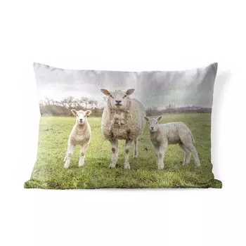Подушка для улицы MuchoWow - овцы - сельскохозяйственные животные - портрет - 50x30 см - защита от атмосферных воздействий - подушка для отдыха - чехол для подушки - хлопчатобумажная ткань - декоративные чехлы для подушек, мультиколор