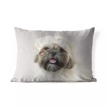Подушка для улицы MuchoWow — Портрет собаки ши-тцу крупным планом — 50x30 см — Устойчивость к атмосферным воздействиям — Подушка для отдыха — Чехол на подушку — Хлопчатобумажная ткань — Декоративные наволочки, мультиколор