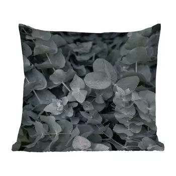 Подушка для улицы MuchoWow - Природа - Растения - Эвкалипт - Листья - 45x45 см - Устойчивость к атмосферным воздействиям - Подушка для отдыха - Чехлы для подушек - Декоративные чехлы для подушек - Декоративные чехлы для подушек, мультиколор