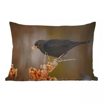 Подушка для улицы MuchoWow - птица - черный дрозд - зима - мороженое - ягода - 50x30 см - защита от атмосферных воздействий - подушка для отдыха - чехол для подушки - хлопчатобумажная ткань - декоративные чехлы для подушек, мультиколор