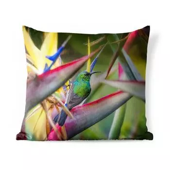 Подушка для улицы MuchoWow — Разноцветная птица между разноцветными тарелками — 60x60 см — Устойчивость к атмосферным воздействиям — Подушки для отдыха — Чехлы для подушек — Декоративные чехлы для подушек — Декоративные чехлы для подушек, мульти...
