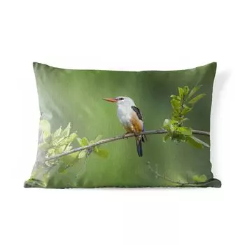 Подушка для улицы MuchoWow — Седой зимородок на ветке со спелыми листьями — 50x30 см — Устойчивость к атмосферным воздействиям — Подушка для отдыха — Чехол на подушку — Хлопчатобумажная ткань — Декоративные наволочки, мультиколор