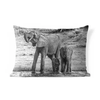 Подушка для улицы MuchoWow — Семья слонов у воды в черно-белом цвете — 50x30 см — Устойчивость к атмосферным воздействиям — Подушка для отдыха — Чехол на подушку — Хлопчатобумажная ткань — Декоративные наволочки, мультиколор