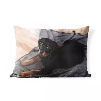 Подушка для улицы MuchoWow — Щенок ротвейлера на черном ковре — 50x30 см — Устойчивость к атмосферным воздействиям — Подушка для отдыха — Чехол на подушку — Хлопчатобумажная ткань — Декоративные наволочки, мультиколор