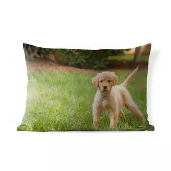 Подушка для улицы MuchoWow — Щенок золотистого ретривера в зеленой траве — 50x30 см — Защита от атмосферных воздействий — Подушка для отдыха — Чехол на подушку — Хлопчатобумажная ткань — Декоративные наволочки, мультиколор