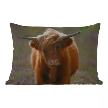 Подушка для улицы MuchoWow - Шотландские горцы - Пустошь - Животные - 50x30 см - Устойчивость к атмосферным воздействиям - Подушка для отдыха - Чехол на подушку - Хлопчатобумажная ткань - Декоративные наволочки, мультиколор