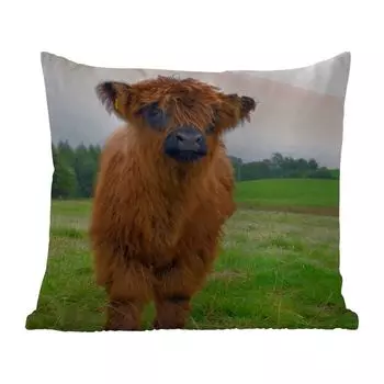 Подушка для улицы MuchoWow - Шотландский горец - Коровы - Природа - Зеленый - Трава - 40x40 см - Устойчивость к атмосферным воздействиям - Подушка для отдыха - Чехол на подушку - Хлопчатобумажная ткань - Декоративные наволочки, мультиколор