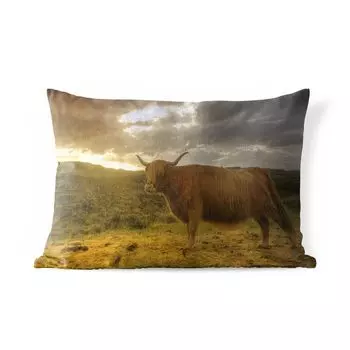 Подушка для улицы MuchoWow - Шотландский горец - Пейзаж - 60x40 см - Устойчивость к атмосферным воздействиям - Подушка для отдыха - Чехлы для подушек - Декоративные чехлы для подушек - Декоративные чехлы для подушек, мультиколор