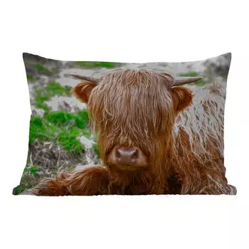 Подушка для улицы MuchoWow - Шотландский горец - Сено - Трава - 60x40 см - Устойчивость к атмосферным воздействиям - Подушка для отдыха - Чехлы для подушек - Декоративные чехлы для подушек - Декоративные чехлы для подушек, мультиколор