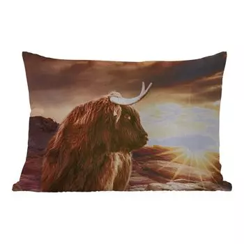 Подушка для улицы MuchoWow - Шотландский горец - Солнце - Горизонт - Корова - Животные - 50x30 см - Устойчивость к атмосферным воздействиям - Подушка для отдыха - Чехол на подушку - Хлопчатобумажная ткань - Декоративные наволочки, мультиколор