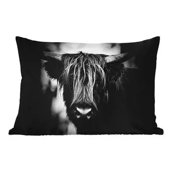 Подушка для улицы MuchoWow - Шотландский горец - Светлый - Портрет - Природа - 50x30 см - Устойчивость к атмосферным воздействиям - Подушка для отдыха - Чехол на подушку - Хлопчатобумажная ткань - Декоративные наволочки, мультиколор