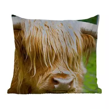 Подушка для улицы MuchoWow - Шотландский горец - Трава - Мех - Животные - Корова - 40x40 см - Устойчивость к атмосферным воздействиям - Подушка для отдыха - Чехол на подушку - Хлопчатобумажная ткань - Декоративные наволочки, мультиколор