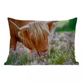 Подушка для улицы MuchoWow - Шотландский горец - Трава - Вереск - Животные - 50x30 см - Устойчивость к атмосферным воздействиям - Подушка для отдыха - Чехол на подушку - Хлопчатобумажная ткань - Декоративные наволочки, мультиколор