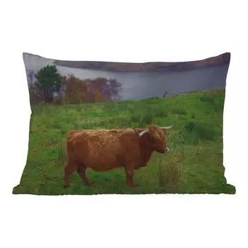 Подушка для улицы MuchoWow - Шотландский горец - Трава - Вода - Животные - 60x40 см - Устойчивость к атмосферным воздействиям - Подушка для отдыха - Чехлы для подушек - Декоративные чехлы для подушек - Декоративные чехлы для подушек, мультиколор