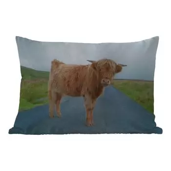 Подушка для улицы MuchoWow - Шотландский горец - Улица - Трава - 60x40 см - Устойчивость к атмосферным воздействиям - Подушка для отдыха - Чехлы для подушек - Декоративные чехлы для подушек - Декоративные чехлы для подушек, мультиколор