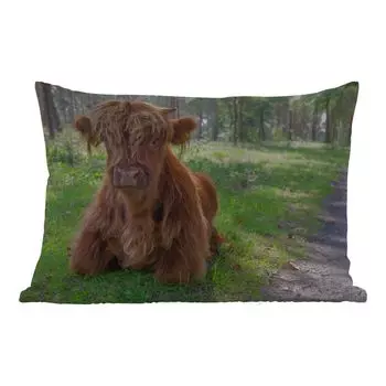 Подушка для улицы MuchoWow - Шотландский горец - Жаба - Животные - 60x40 см - Устойчивость к атмосферным воздействиям - Подушка для отдыха - Чехлы для подушек - Декоративные чехлы для подушек - Декоративные чехлы для подушек, мультиколор