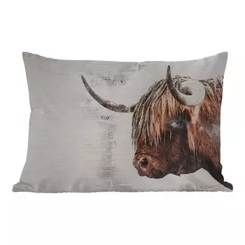 Подушка для улицы MuchoWow - Шотландский горец - Животные - Газетные статьи - 60x40 см - Устойчивость к атмосферным воздействиям - Подушки для отдыха - Чехлы для подушек - Декоративные чехлы для подушек - Декоративные чехлы для подушек, мультико...